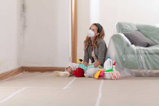 Reliable Mold Remediation contractor in Atlanta, GA by WQB Mold Removal